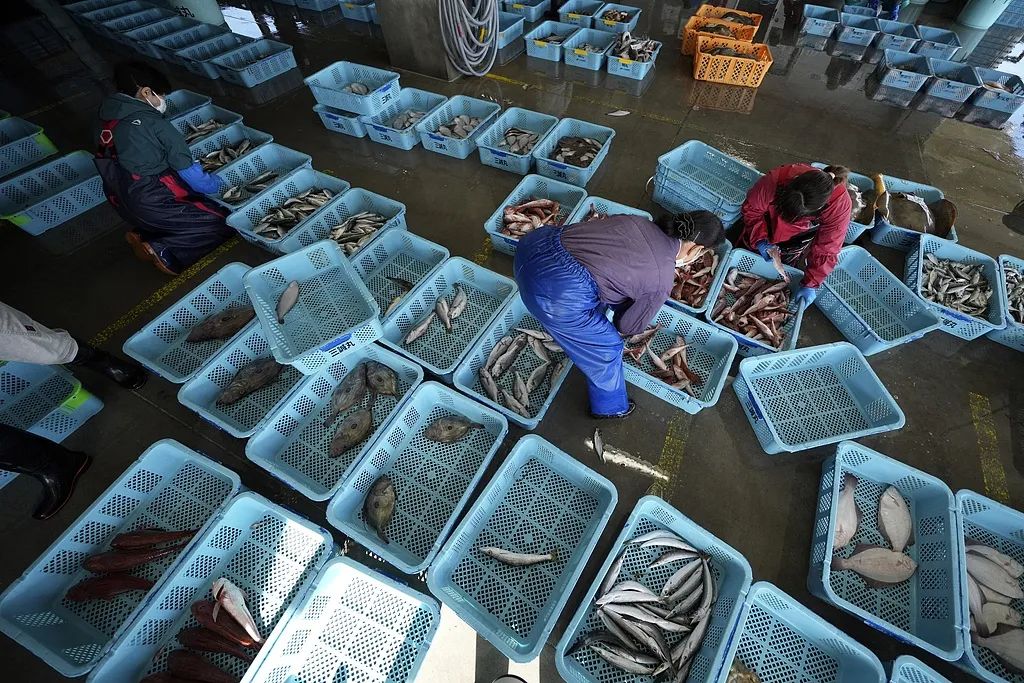 高瞻远瞩，审慎应对 论水产品进口问题中的中方立场与谈判智慧