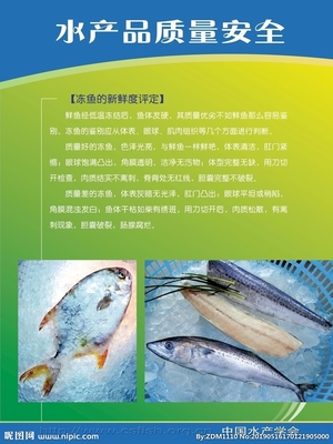 水产品设计图 从海洋到餐桌的艺术与科学
