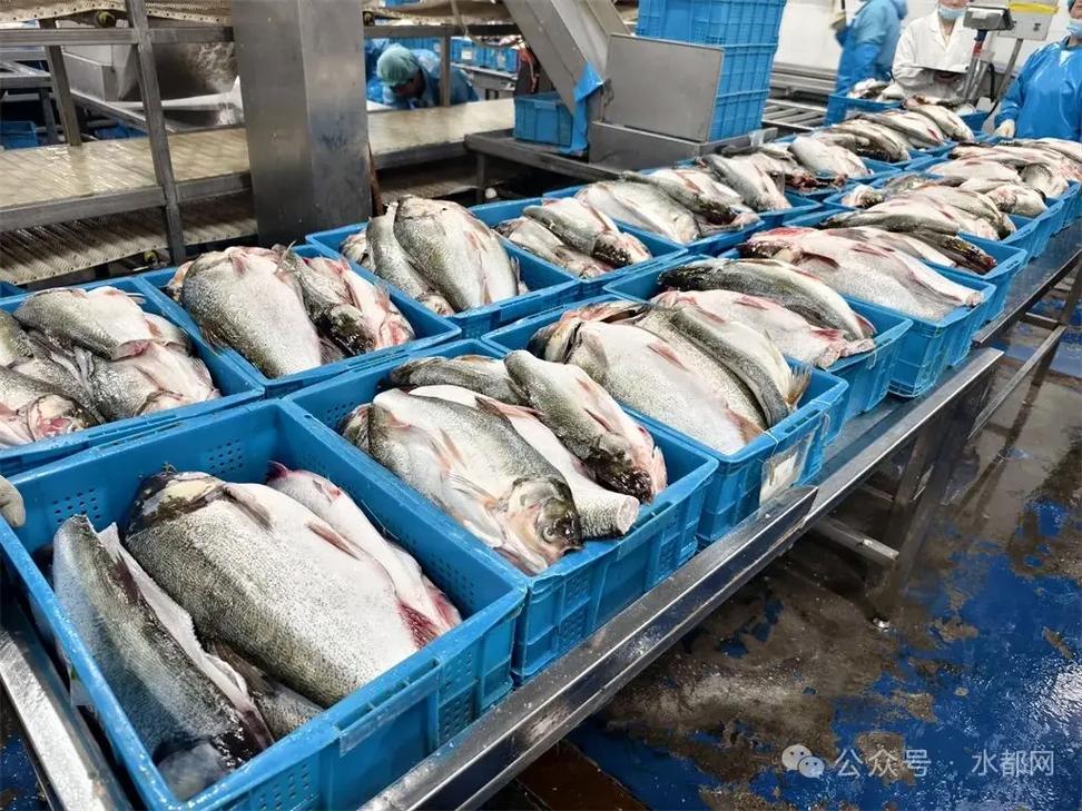 [庆祝] 湖北博奥食品股份,专业水产品加工