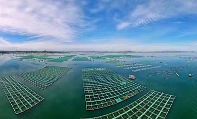 市海洋与渔业局:福建漳州多样化海水养殖模式锻造百亿渔业